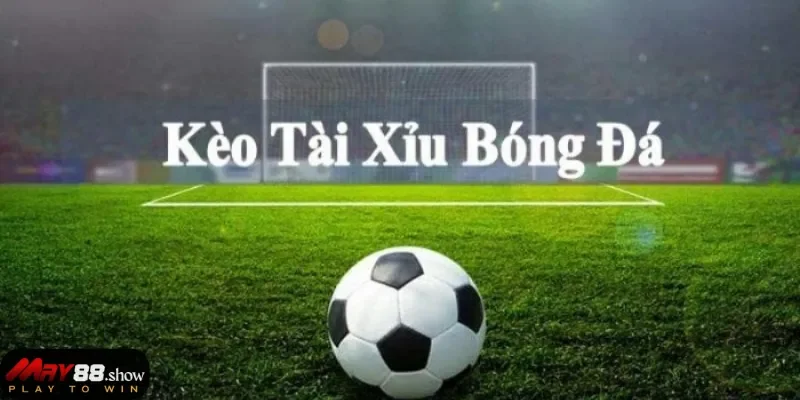 Tìm hiểu về cược Tài xỉu bóng đá ở May88